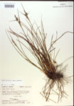 000018759-thumbnail.jpg