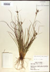 000018760-thumbnail.jpg