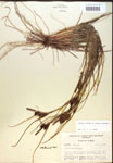 000018761-thumbnail.jpg