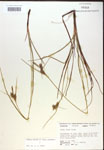 000018762-thumbnail.jpg