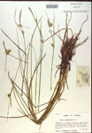 000018769-thumbnail.jpg