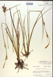 000018770-thumbnail.jpg
