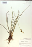 000018771-thumbnail.jpg