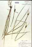 000018772-thumbnail.jpg