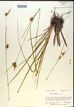 000018773-thumbnail.jpg