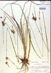 000018774-thumbnail.jpg