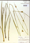 000018775-thumbnail.jpg