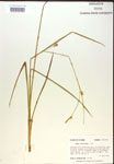 000018776-thumbnail.jpg