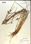 000018779-thumbnail.jpg