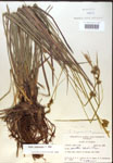 000018780-thumbnail.jpg