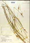 000018781-thumbnail.jpg