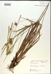 000018782-thumbnail.jpg