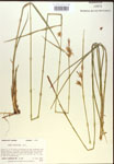 000018783-thumbnail.jpg