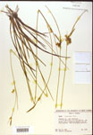 000018784-thumbnail.jpg