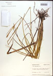 000018785-thumbnail.jpg