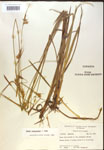 000018786-thumbnail.jpg