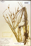 000018787-thumbnail.jpg