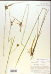 000018788-thumbnail.jpg