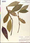 000018858-thumbnail.jpg