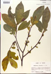 000018860-thumbnail.jpg