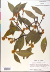 000018861-thumbnail.jpg