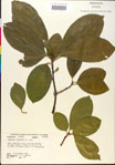000018865-thumbnail.jpg