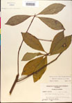 000018876-thumbnail.jpg