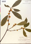000018878-thumbnail.jpg