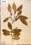 000018880-thumbnail.jpg