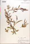000018920-thumbnail.jpg