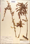 000018921-thumbnail.jpg