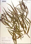 000018928-thumbnail.jpg