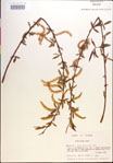 000018929-thumbnail.jpg