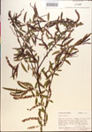 000018930-thumbnail.jpg