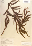 000018933-thumbnail.jpg