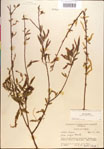000018934-thumbnail.jpg