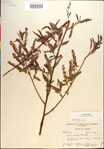 000018942-thumbnail.jpg