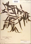 000018943-thumbnail.jpg