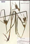 000019798-thumbnail.jpg