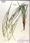 000019801-thumbnail.jpg