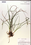 000019802-thumbnail.jpg
