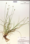 000019805-thumbnail.jpg