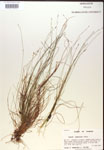 000019806-thumbnail.jpg