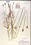 000019807-thumbnail.jpg