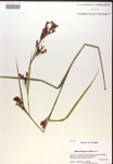 000019812-thumbnail.jpg