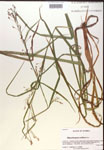 000019813-thumbnail.jpg