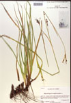000019816-thumbnail.jpg