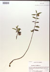 000019817-thumbnail.jpg