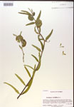 000019818-thumbnail.jpg