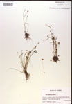 000019830-thumbnail.jpg